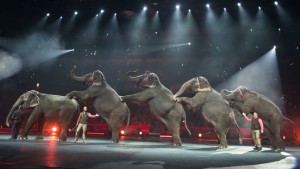 Ringling Bros Circus ap